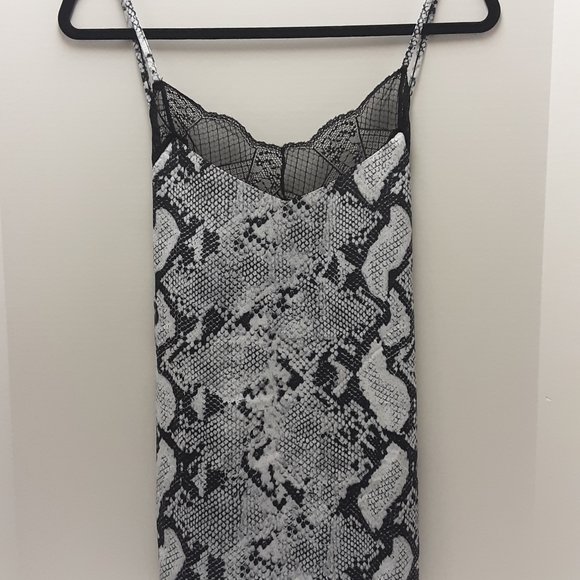 Other - SNAKE PRINT & LACE CAMISOLE
